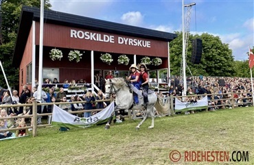 Masser af heste klar til Roskilde Dyrskue