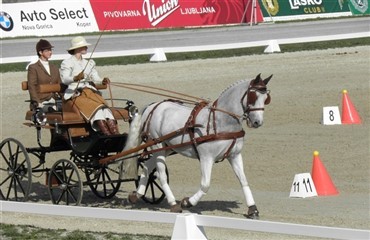Dansk verdensmester i k&oslash;rsel med pony og vogn