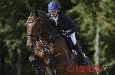 Endresen rider sine DV-heste til finale