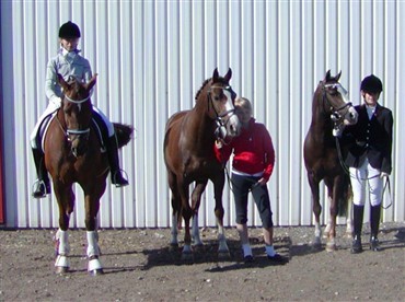Bonansas triumf i Hjallerup