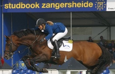 Coriano Z aflivet efter ulykke