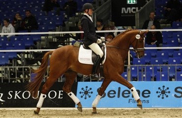 JJ Rayban er solgt til Sverige