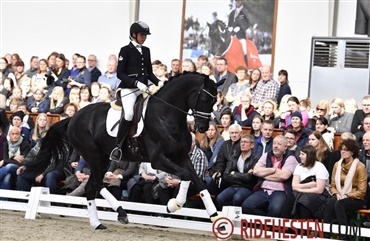 Simone Pearce skadet op til Herning