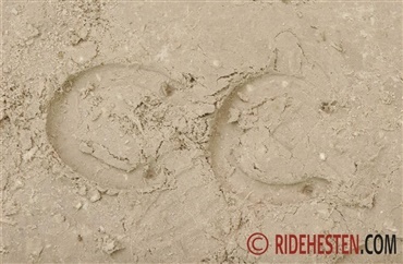 Bliv klogere p&aring; din ridebane