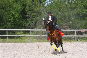 Spanske matadorer lejede hestemordere