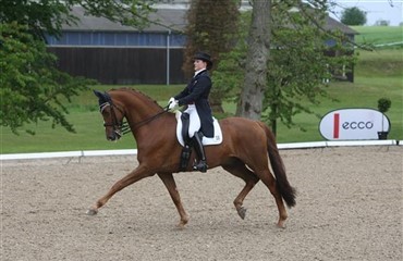 ECCO Cup i Middelfart