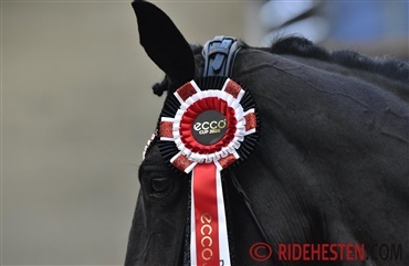 Tid til Jackpotrunden i ECCO Cup for pony