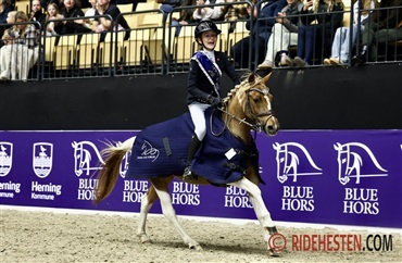 Nord-Vest Box Cup-vinderne er fundet
