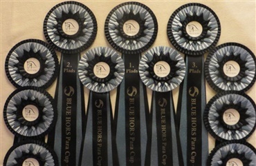 Weekenden byder p&aring; Blue Hors Para Cup