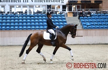 Nu g&aring;r det l&oslash;s med egnethedstest