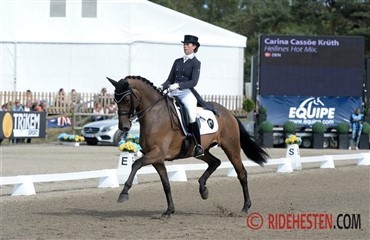 Opsamling fra dagen i Falsterbo 
