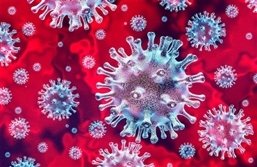 Coronavirus kan ogs&aring; smitte heste, men ikke Covid-19