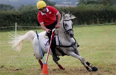 Danskere til tops ved EM i Mounted Games