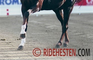 Donnerhall lever videre