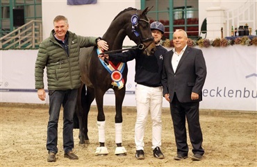 18 pr&aelig;miehingste i Mecklenburg