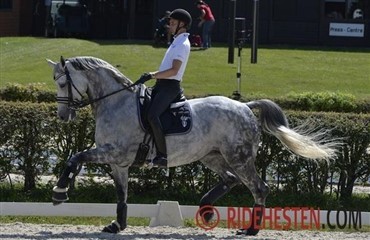 Helgstrand i fokus, igen!