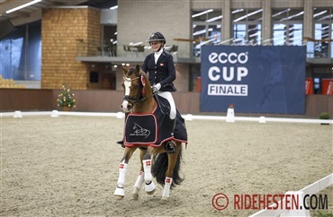 Kan sidste &aring;rs ECCO-vindere g&oslash;re det igen?