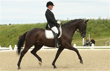 Starttider for verdenshestene