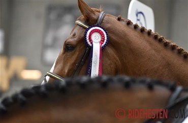 I dag starter championatsfinalerne