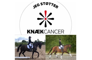 Veninder holder Kn&aelig;k Cancer-st&aelig;vne p&aring; Fyn