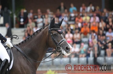 Valegro som l&aelig;remester