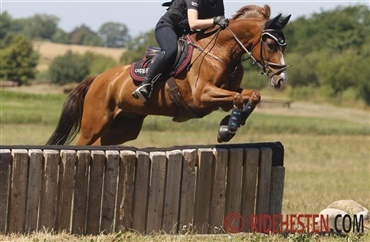 Succesfuld banetr&aelig;ning p&aring; terr&aelig;nbanen i Lang&aring;