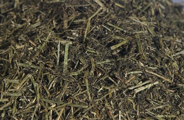 Midlertidigt rapporteringsniveau for CBD