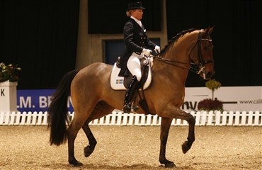 Grand Prix-hesten Lonevan til Danmark
