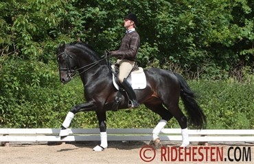 Dansk hest vinder Grand Prix