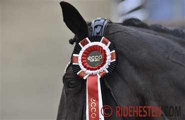 Tid til finalerne i ECCO Cup 2021 hos Blue Hors