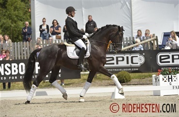 Dansk hingst i top i svensk championat