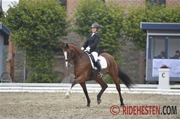 Januartilbud p&aring; Ridehestens billeder