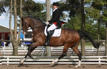 DRF-mellemrunde i Billund
