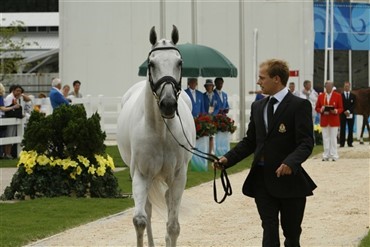 49 dressurheste i OL