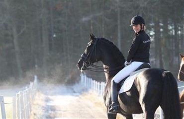 Danske dressurplaceringer ved AEG