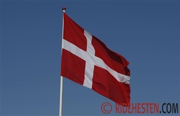 De springer i Hiller&oslash;d