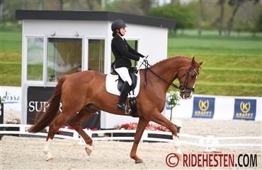 Dressurens Venner Cup afgjort