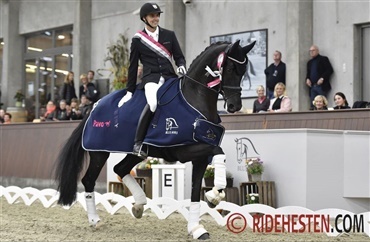 &Aring;rets dressurheste i Dansk Varmblod 2019