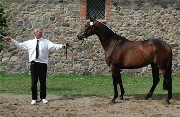 Bjarne N&oslash;rg&aring;rd er ikke mere