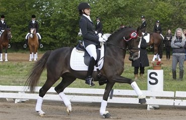 Ponydressurrytternes hattrick ved NM
