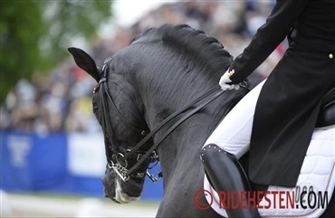 FEI dropper forslaget om h&oslash;jeste og laveste dressurscore