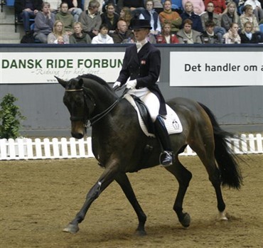 Flotte resultater i Braunschweig