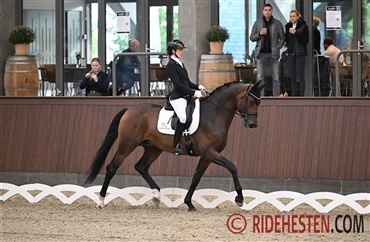 Pavo- og DRF-championat i dressur skifter format