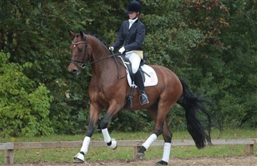 5-&aring;rs championat i Nr. Hostrup