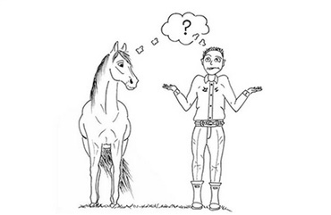 Mangler du tips til livet som Ponyfar?