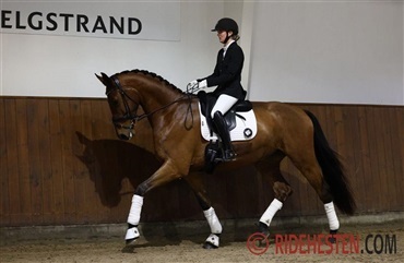 18-&aring;rig til Unghestechampionat