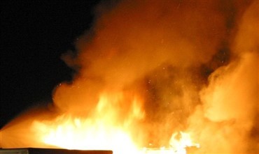 Heste omkommet i flammerne