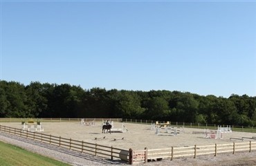 B&aelig;kgaarden Horse Festival