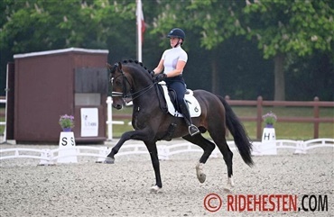 Igen &aring;bent for s&aelig;dbestillinger p&aring; Blue Hors