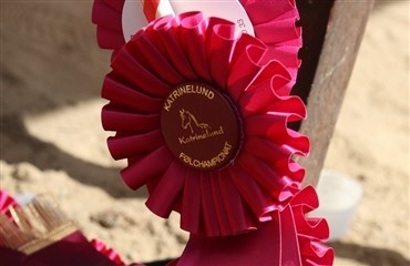 Dommerskifte p&aring; Katrinelund